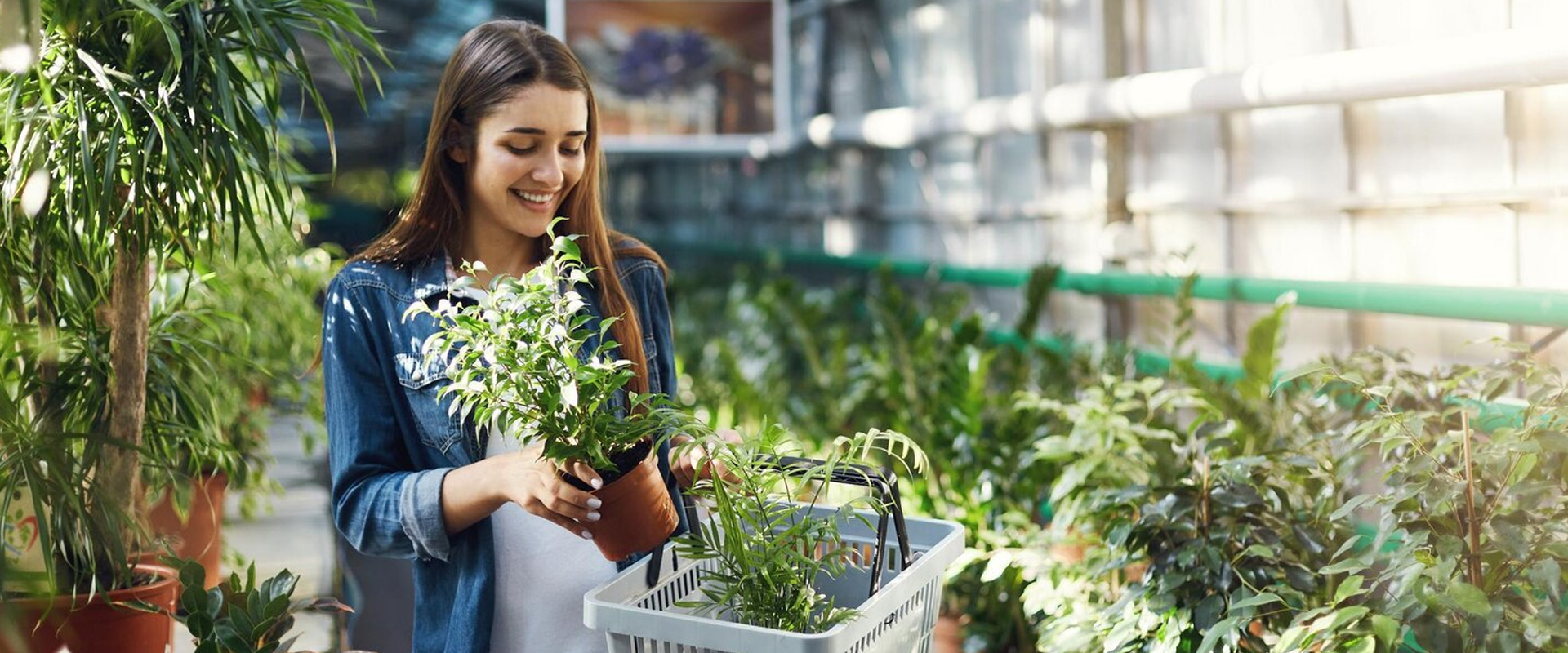 High-quality nutrients, mediums & tools for every grower  ship worldwide!